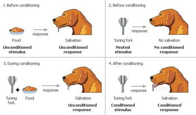 classical-conditioning